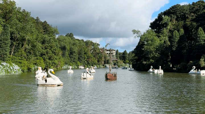 image-18 Gramado com Crianças: Dicas e Atividades